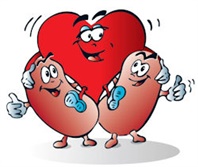 world kidney day